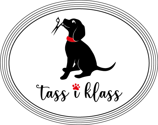 Tass i Klass